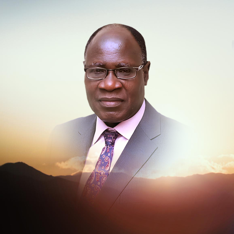 Reverend (Dr) John Idowu
